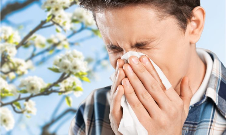 alergie polen